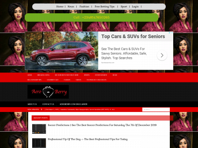 aeroberry.com snapshot