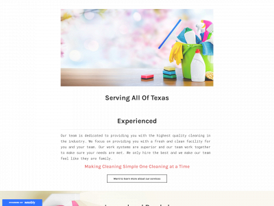 vidaclean.weebly.com snapshot