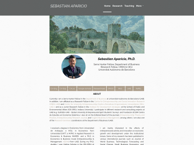 sebastian-aparicio.com snapshot