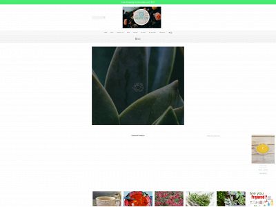 theorganiklife.com snapshot