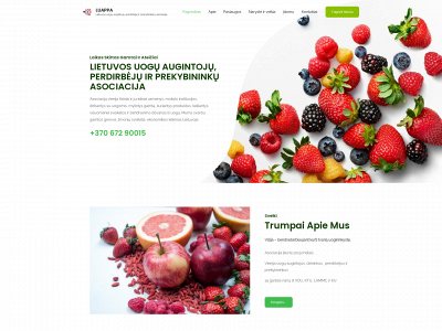 luappa.lt snapshot