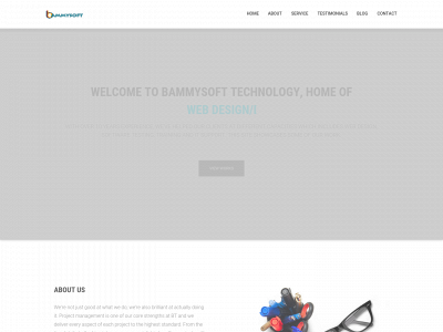 bammysoft.com snapshot