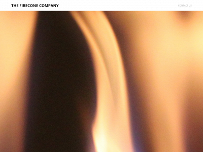 thefirecone.com snapshot