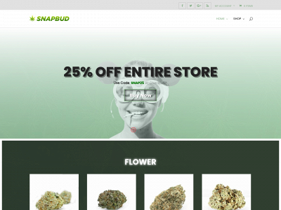 snapbud.ca snapshot