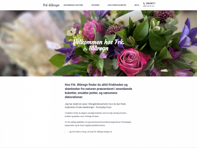 frkblaaregn.dk snapshot