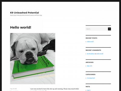 k9unleashedpotential.com snapshot