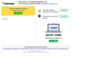 amominhispalm.com snapshot