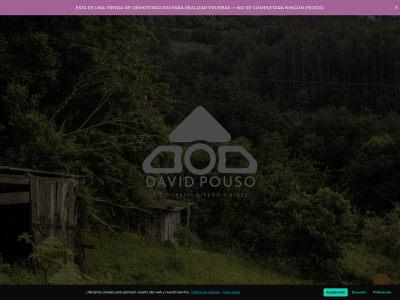 davidpouso.com snapshot