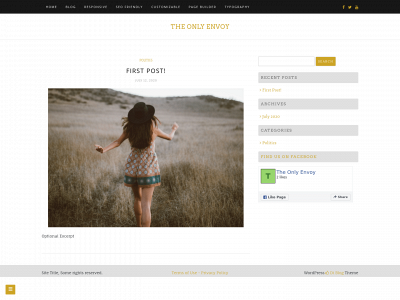 theonlyenvoy.com snapshot