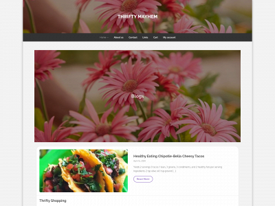 thriftymayhem.com snapshot
