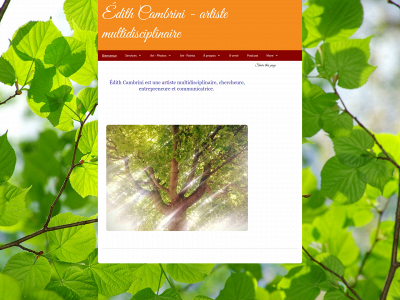 edithcambrini.com snapshot