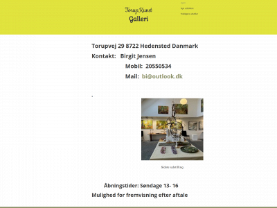 torupkunst.dk snapshot