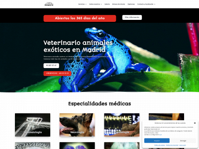 cvmadagascar.com snapshot