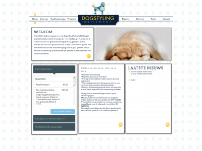 dogstylingbuitenhof.nl snapshot