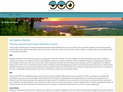 seosearchstrategy.com snapshot