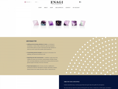 enagi.com snapshot
