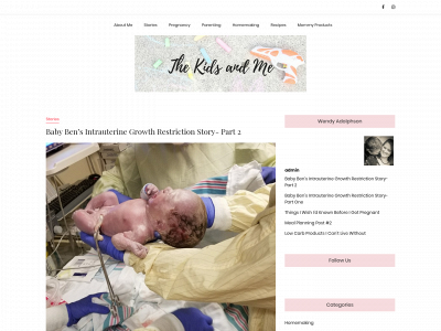 thekidsandme.com snapshot