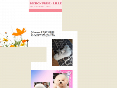 bichonfrise-lillehvidlovehund.dk snapshot