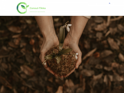 consul-tikka.com snapshot