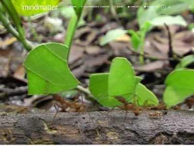 mindmatter.se snapshot
