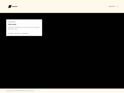 immersaagence.com snapshot