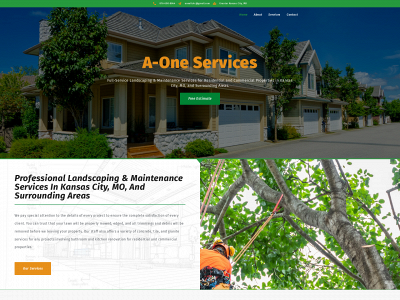 a-onellc.com snapshot