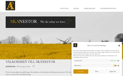 skanestor.se snapshot