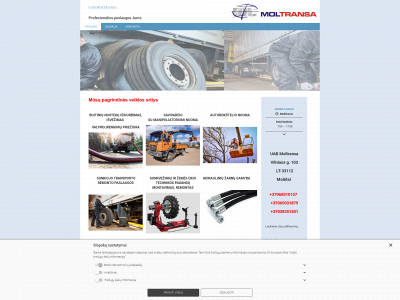 moltransa.lt snapshot