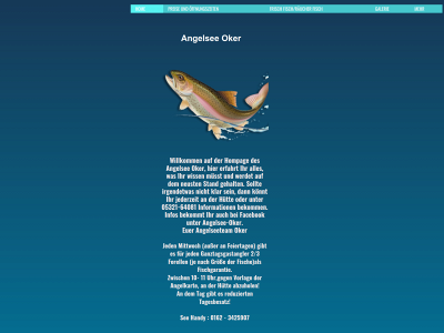 angelseeoker.de snapshot
