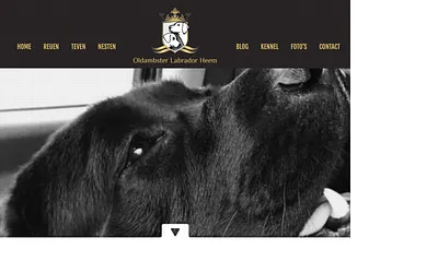 oldambsterlabradorheem.nl snapshot