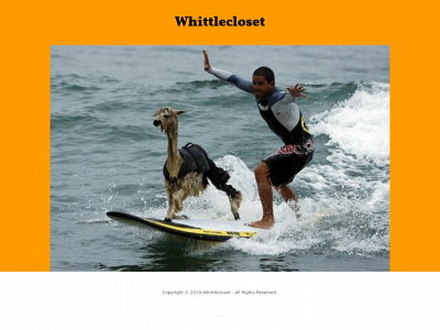 whittlecloset.com snapshot