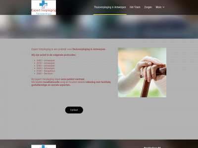 expertverpleging.be snapshot