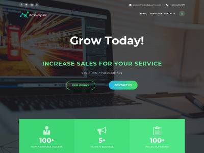 adsavvyinc.com snapshot