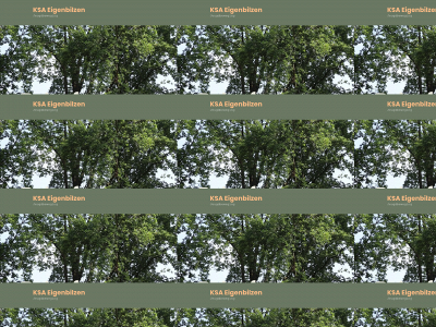 ksjeigenbilzen.be snapshot