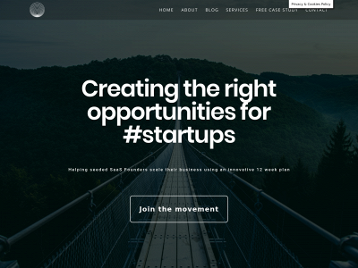 rocksalt-consulting.com snapshot