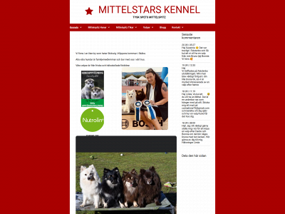 mittelstars123.se snapshot