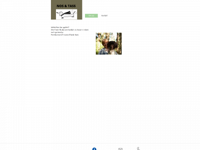 nosochtass.se snapshot