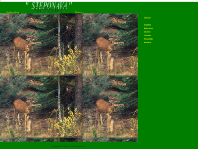 steponava.lt snapshot