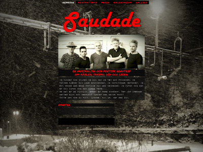 saudadelinkoping.se snapshot