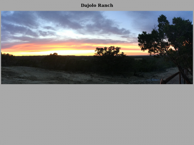 dajolo.com snapshot