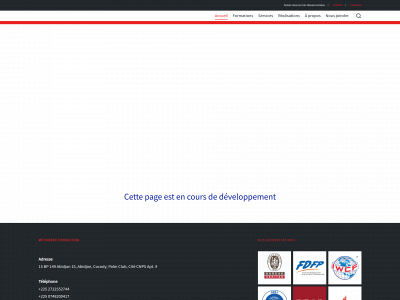 methodexconsulting.net snapshot