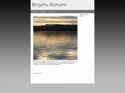 birgittaboholm.se snapshot