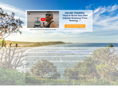 newbusinessmarketer.com snapshot