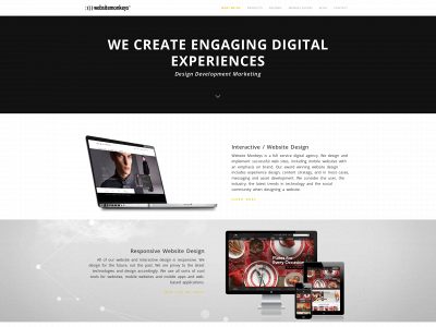 websitemonkeys.com snapshot