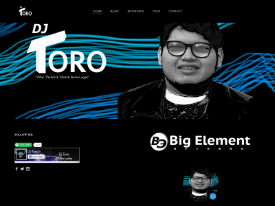 www.dj-toro.com snapshot
