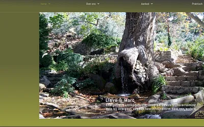 heelal-alheel.one snapshot