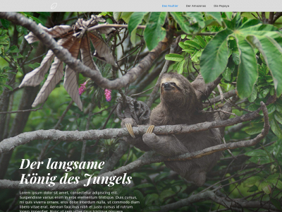 ccasap.ch snapshot