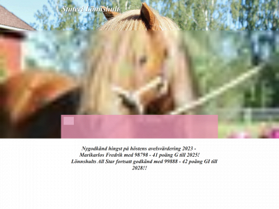 lonnshult.se snapshot