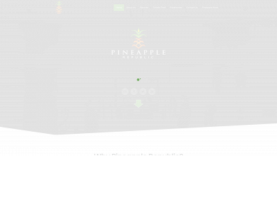 pineapplerepublic.net snapshot