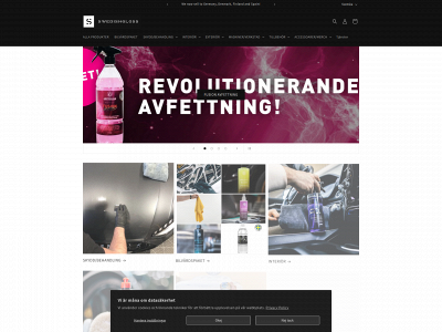swedishgloss.de snapshot
